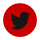 twitter social link