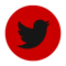 twitter social link